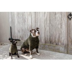 Pull Pour Chien Teddy Fleece Kentucky Vert sapin