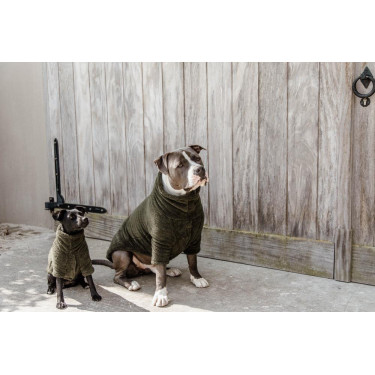 Pull Pour Chien Teddy Fleece Kentucky Pull Pour Chien Teddy Fleece Kentucky