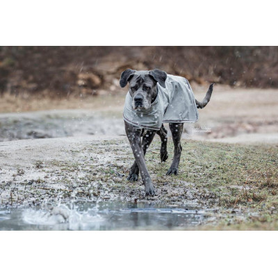 Veste Imperméable pour chien Kentucky Bleu poudreux