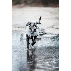 Veste Imperméable pour chien Kentucky Bleu poudreux Veste Imperméable pour chien Kentucky Bleu poudreux