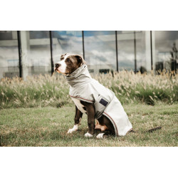 Veste Imperméable pour chien Kentucky Bleu poudreux Veste Imperméable pour chien Kentucky Bleu poudreux