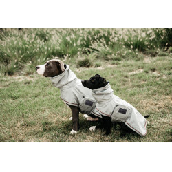 Veste Imperméable pour chien Kentucky Bleu poudreux Veste Imperméable pour chien Kentucky Bleu poudreux