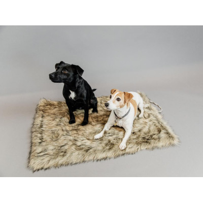 Lit pour chien Fuzzy to go Kentucky Brun