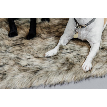 Lit pour chien Fuzzy to go Kentucky Lit pour chien Fuzzy to go Kentucky