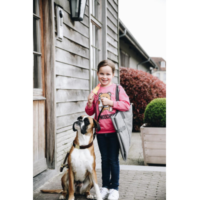 Lit pour chien Travel In Style Kentucky Gris