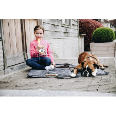 Lit pour chien Travel In Style Kentucky Lit pour chien Travel In Style Kentucky