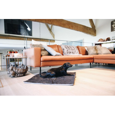 Lit pour chien Travel In Style Kentucky Lit pour chien Travel In Style Kentucky
