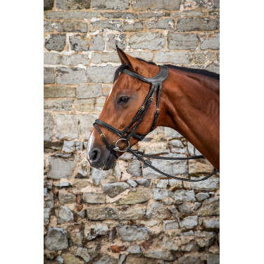 Bridon Différence D Collection by Dy'on Bridon Différence D Collection by Dy'on
