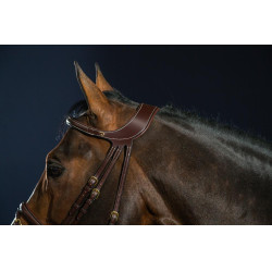 Bridon Différence D Collection by Dy'on Brun Marron