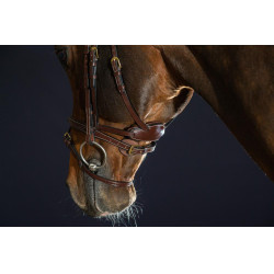 Bridon Différence D Collection by Dy'on Brun Marron