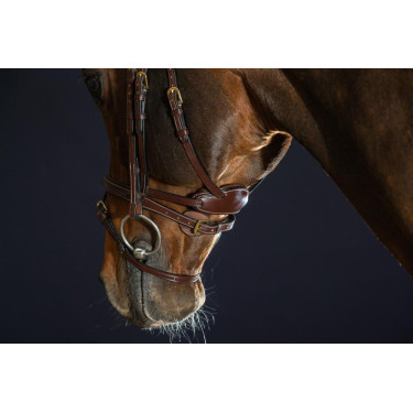 Bridon Différence D Collection by Dy'on Bridon Différence D Collection by Dy'on