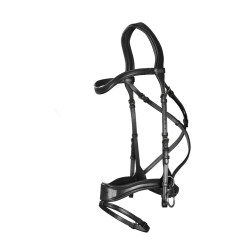 Bridon D Motion New English Collection by Dy'on Noir