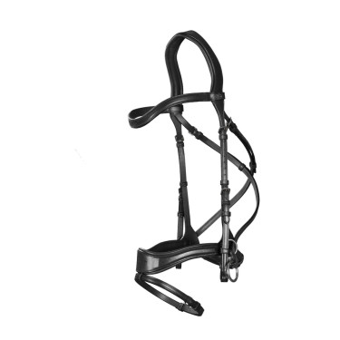 Bridon D Motion New English Collection by Dy'on Noir