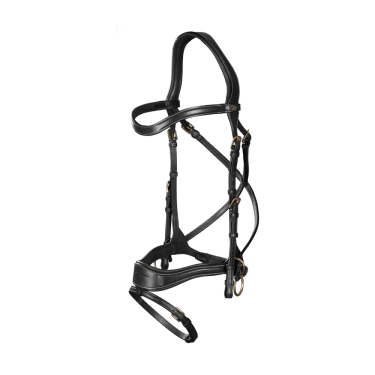 Bridon D Motion D Collection by Dy'on Noir Bridon D Motion D Collection by Dy'on Noir