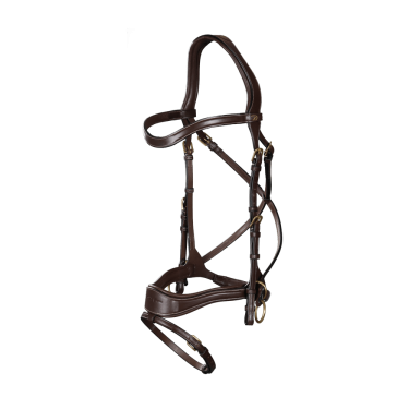 Bridon D Motion D Collection by Dy'on Bridon D Motion D Collection by Dy'on