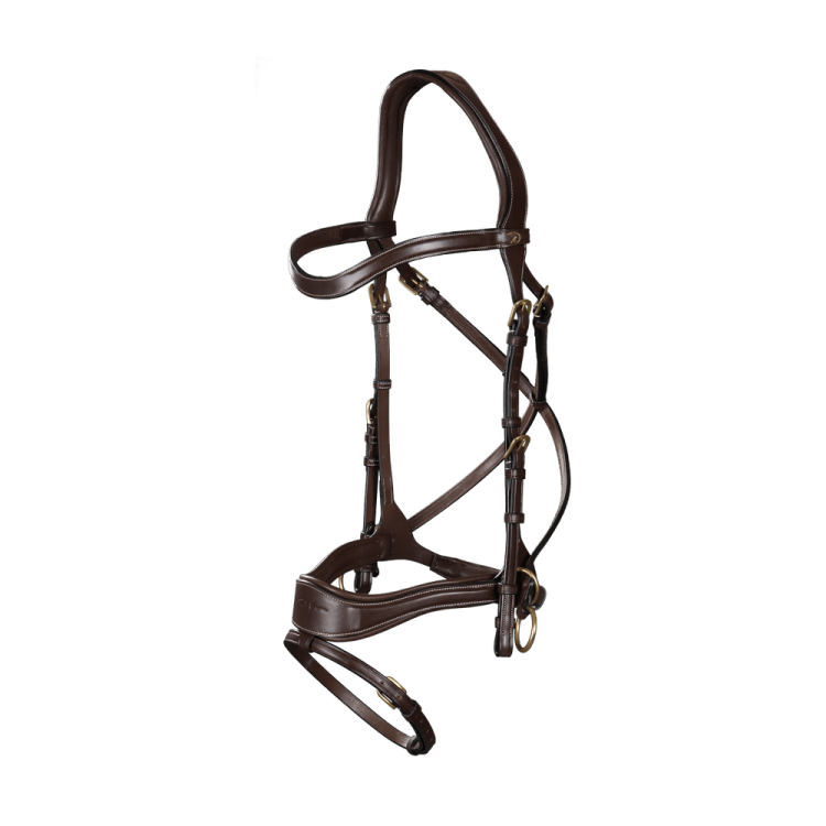 Bridon D Motion D Collection by Dy'on Bridon D Motion D Collection by Dy'on