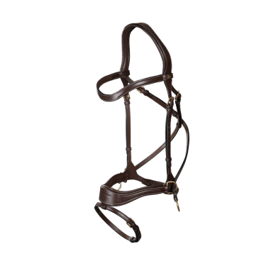 Bridon D Motion D Collection by Dy'on Bridon D Motion D Collection by Dy'on