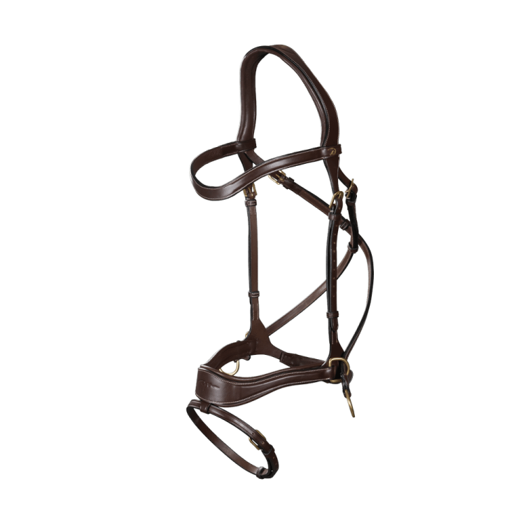 Bridon D Motion D Collection by Dy'on Bridon D Motion D Collection by Dy'on