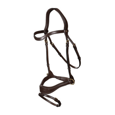 Bridon D Motion D Collection by Dy'on Marron