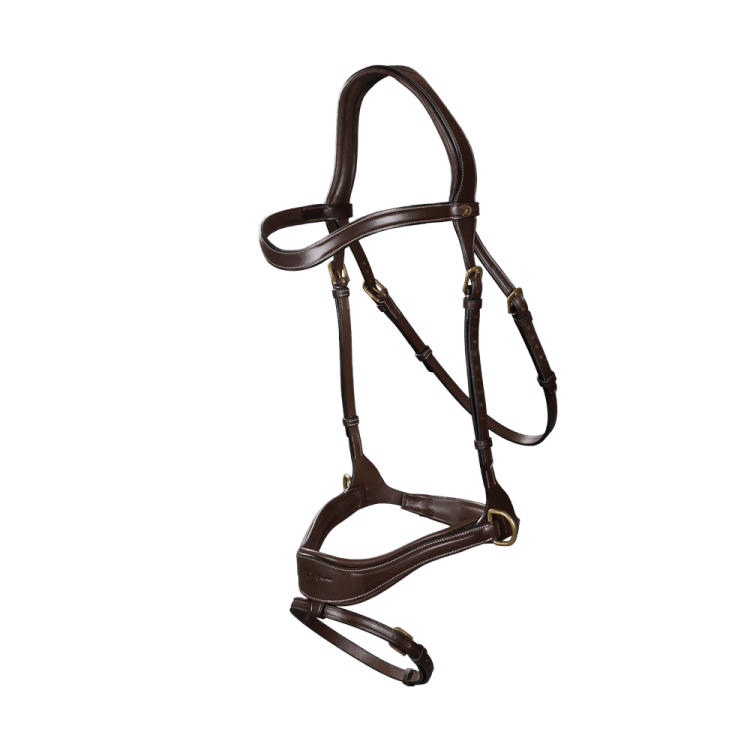 Bridon D Motion D Collection by Dy'on Bridon D Motion D Collection by Dy'on