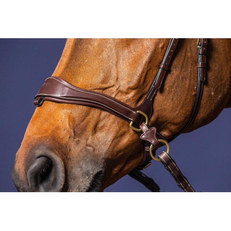 Bridon D Motion D Collection by Dy'on Bridon D Motion D Collection by Dy'on