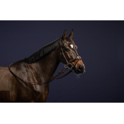 Bridon D Motion D Collection by Dy'on Marron Bridon D Motion D Collection by Dy'on Marron
