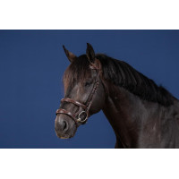 Bridon Double Muserolle US Collection by Dy'on Marron