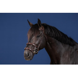 Bridon Double Muserolle US Collection by Dy'on Marron