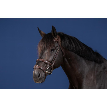 Bridon Double Muserolle US Collection by Dy'on Marron