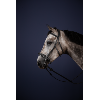 Bridon Hackamore New English Collection by Dy'on Noir