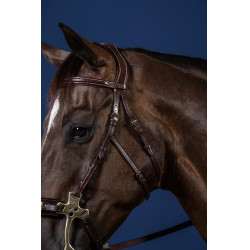 Bridon Hackamore US Collection by Dy'on Brun Marron