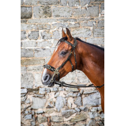 Bridon Hackamore D Collection by Dy'on Noir
