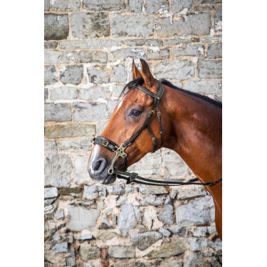 Bridon Hackamore D Collection by Dy'on Noir