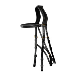 Bridon Hackamore D Collection by Dy'on Noir