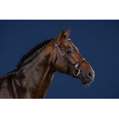 Bridon Hunter US Collection by Dy'on Brun