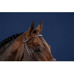 Bridon Hunter US Collection by Dy'on Brun Marron Bridon Hunter US Collection by Dy'on Brun Marron