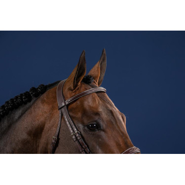 Bridon Hunter US Collection by Dy'on Bridon Hunter US Collection by Dy'on