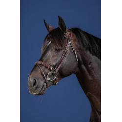 Bridon Muserolle Combinée US Collection by Dy'on Brun Marron Bridon Muserolle Combinée US Collection by Dy'on Brun Marron