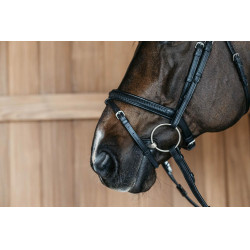 Bridon muserolle combinée tréssé Dy'on Noir