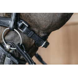 Bridon muserolle combinée tressé avec Pull Back Dy'on Noir Bridon muserolle combinée tressé avec Pull Back Dy'on Noir