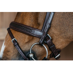 Bridon muserolle combinée tressé avec Pull Back Dy'on New English Collection Marron