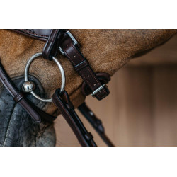 Bridon muserolle combinée tressé avec Pull Back Dy'on New English Collection Marron