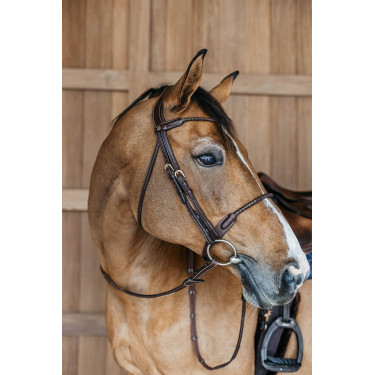 Bridon muserolle combinée tréssé rond Dy'on Marron