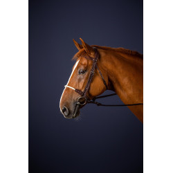 Bridon Muserolle Corde New English Collection by Dy'on Brun