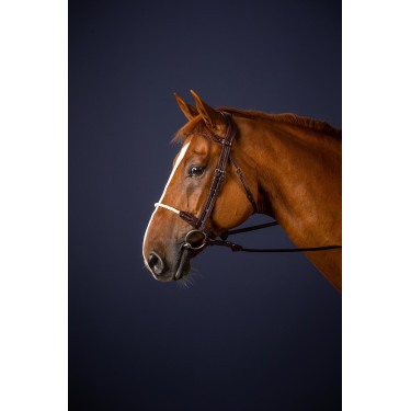 Bridon Muserolle Corde New English Collection by Dy'on Brun