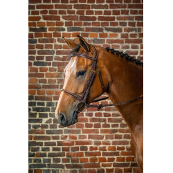 Bridon Muserolle Corde Recouverte de Cuir D Collection by Dy'on Brun