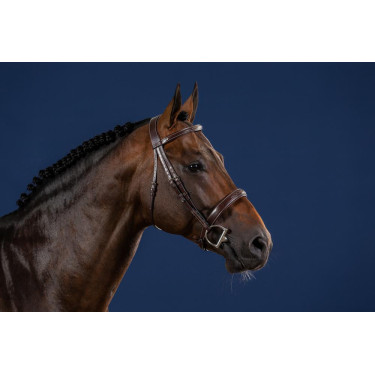 Bridon Muserolle Large Hunter US Collection by Dy'on Bridon Muserolle Large Hunter US Collection by Dy'on