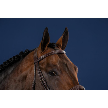 Bridon Muserolle Large Hunter US Collection by Dy'on Bridon Muserolle Large Hunter US Collection by Dy'on