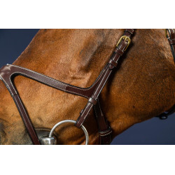 Bridon X-Fit D Collection by Dy'on Brun Marron Bridon X-Fit D Collection by Dy'on Brun Marron