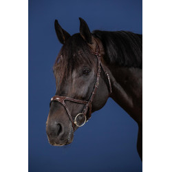 Bridon X-Fit US Collection by Dy'on Brun Marron Bridon X-Fit US Collection by Dy'on Brun Marron